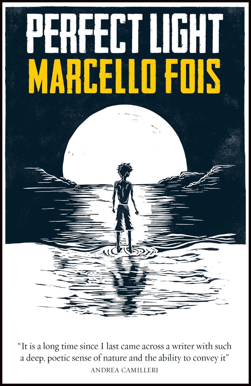 Perfect Light by Marcello Fois - ISBN: 9780857056757