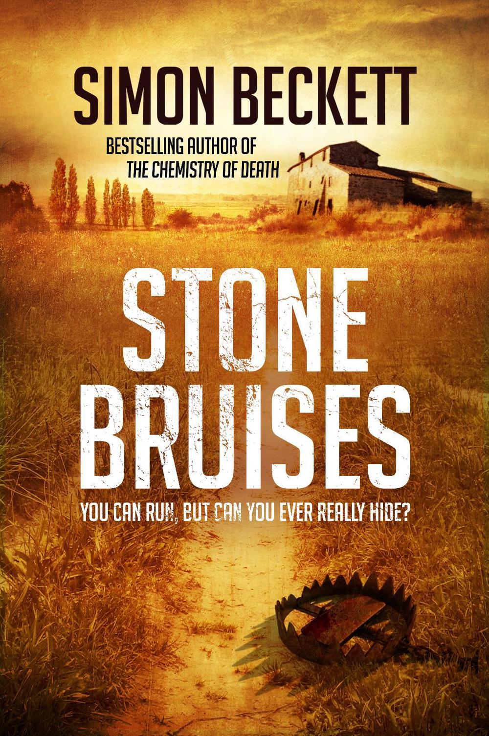 Stone Bruises by Simon Beckett - ISBN: 9780857502582