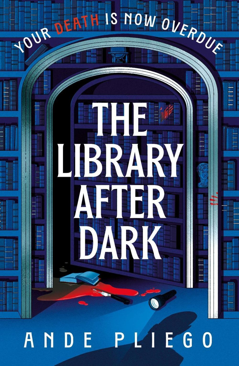 The Library After Dark by Ande Pliego - ISBN: 9780857505828