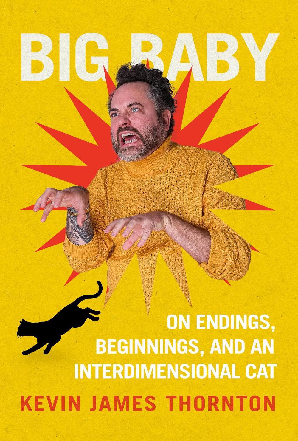 Big Baby by Kevin James Thornton - ISBN: 9780857507204