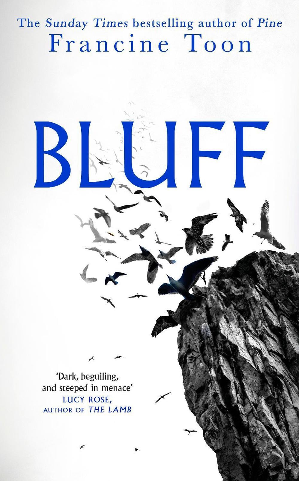 Bluff by Francine Toon - ISBN: 9780857527554