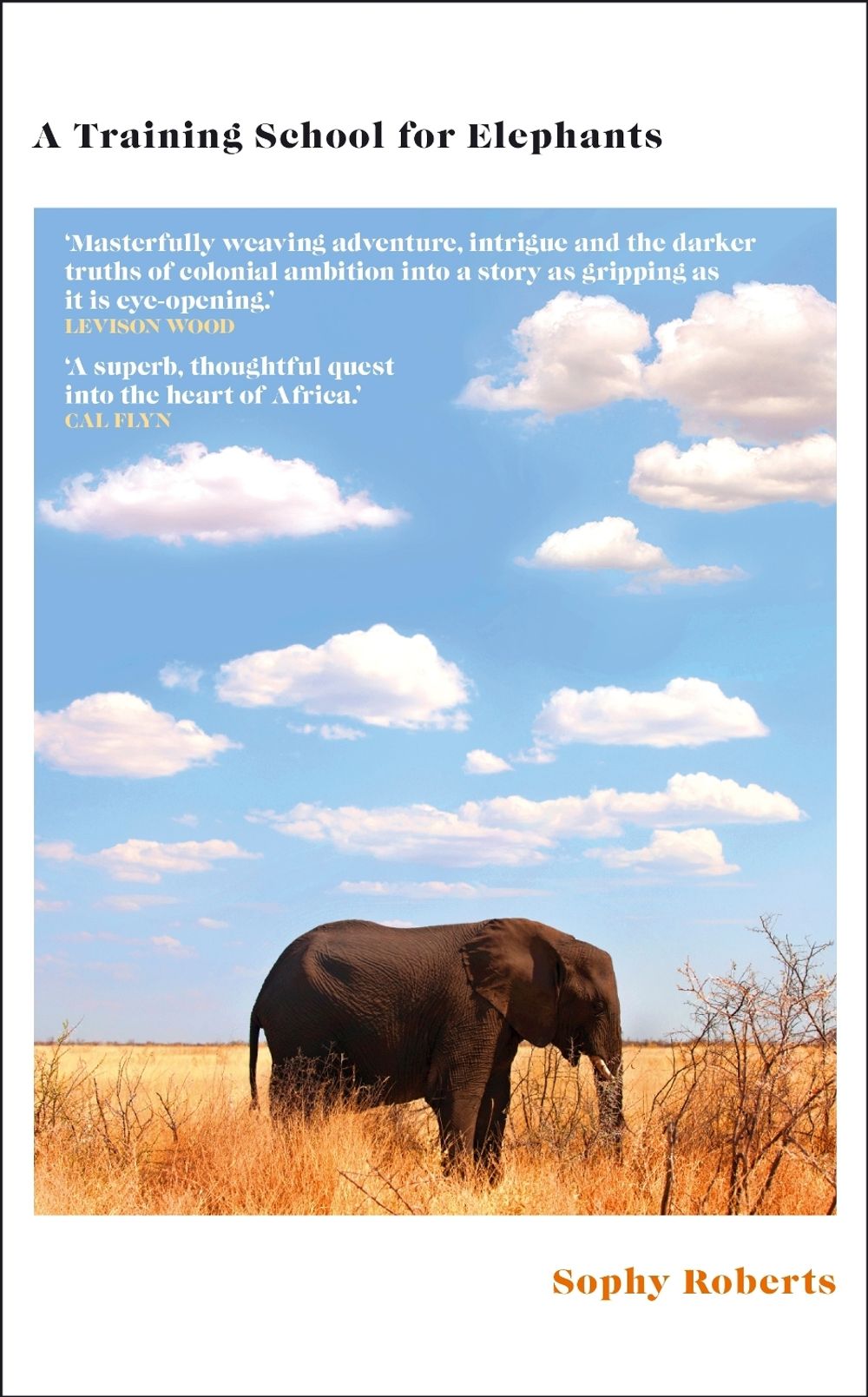 A Training School for Elephants by Sophy Roberts - ISBN: 9780857528384