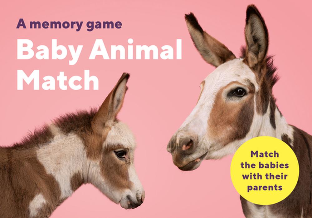 Baby Animal Match by Gerrard Gethings, 9780857828989 | Buy online at The  Nile