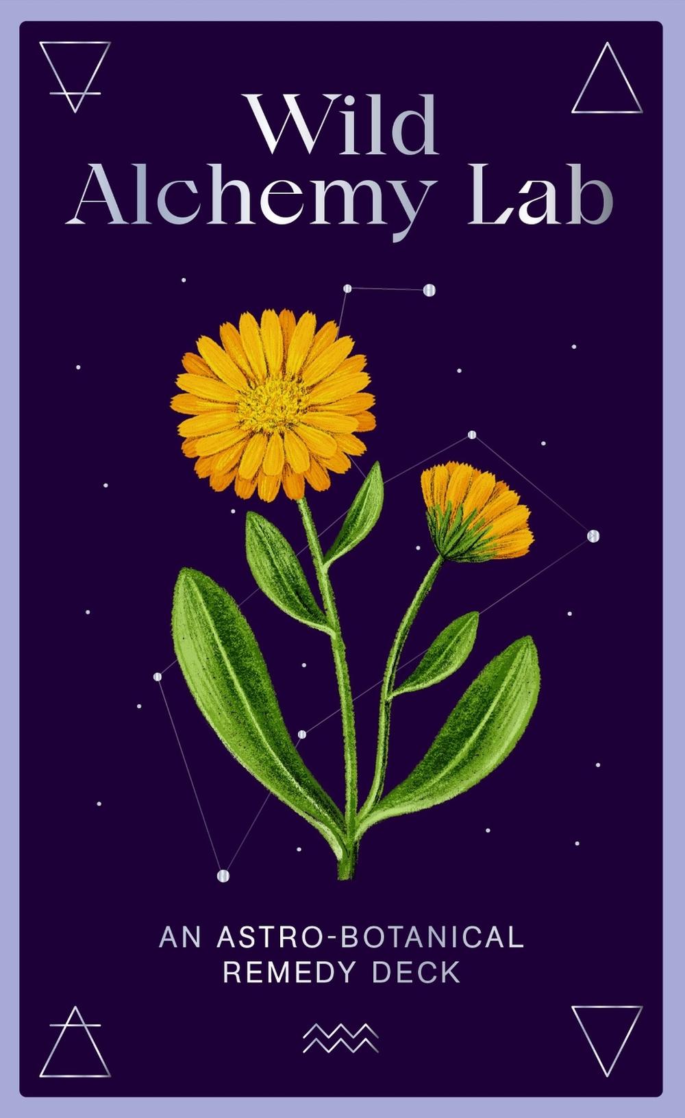 Wild Alchemy Lab by Jemma Foster - ISBN: 9780857829412