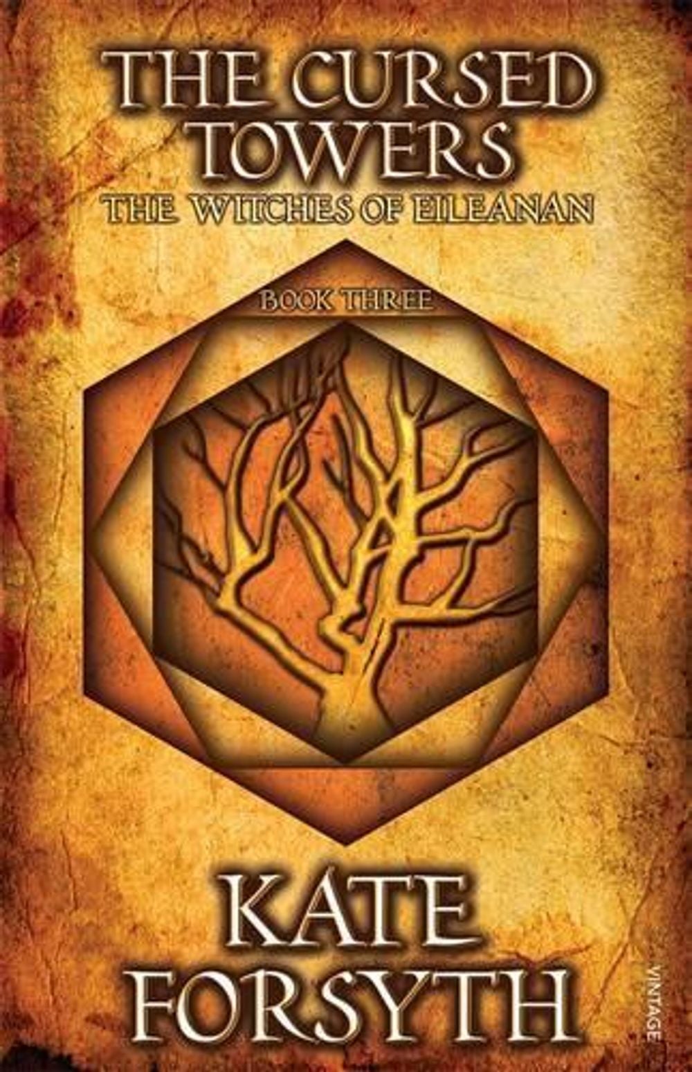The Cursed Towers: book 3, The witcheas of Eileanan by Kate Forsyth - ISBN: 9780857988713