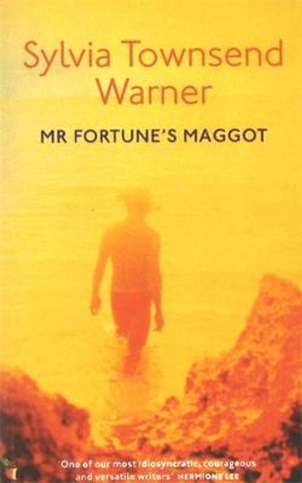 Mr Fortune's Maggot by Sylvia Townsend Warner - ISBN: 9780860680437