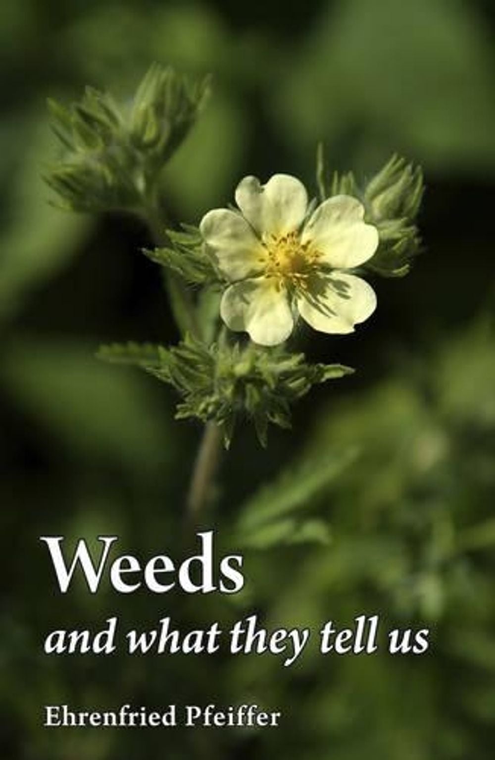 Weeds and What They Tell Us by Ehrenfried E. Pfeiffer - ISBN: 9780863159251