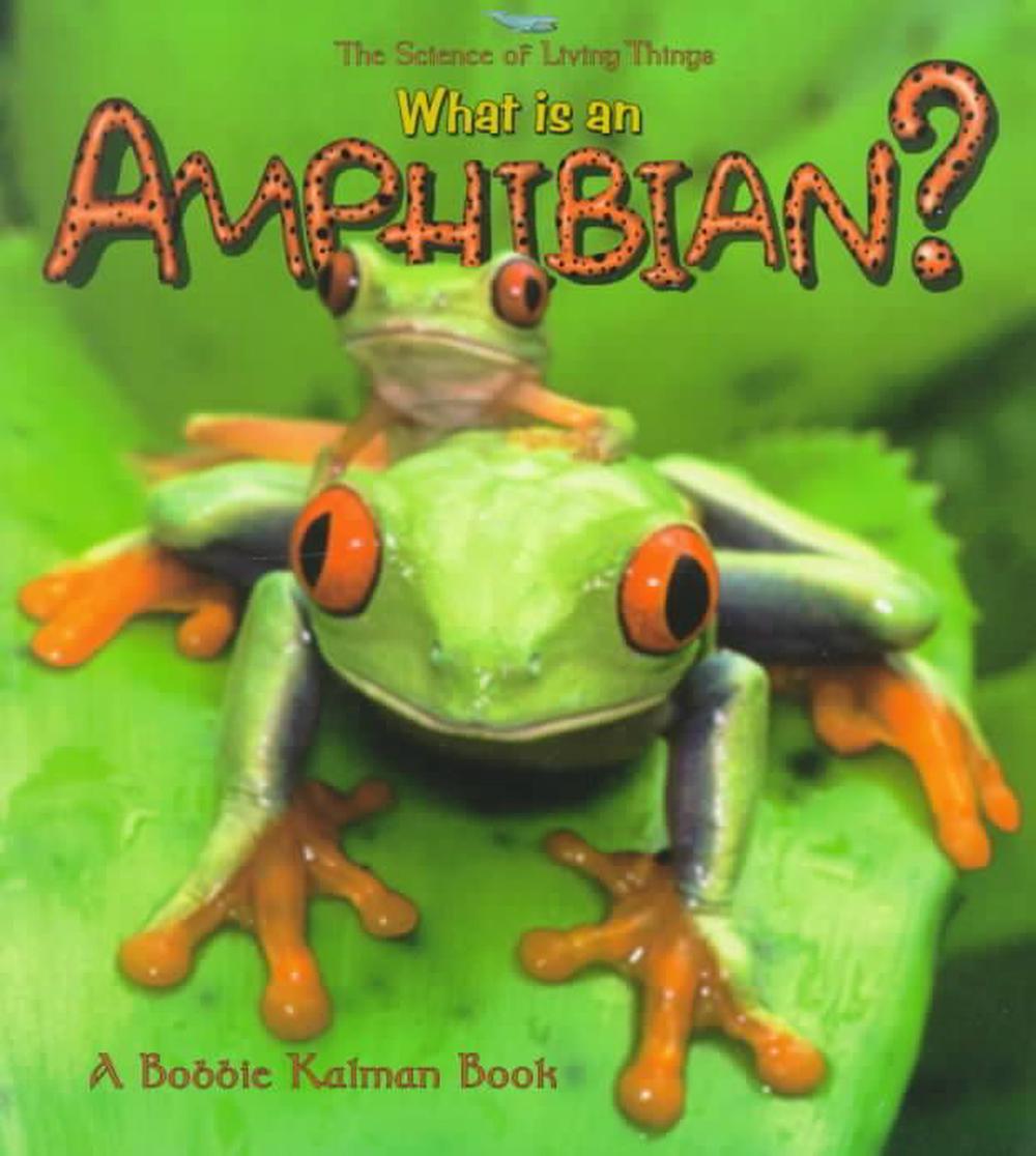 What Is an Amphibian? by Bobbie Kalman, Paperback, 9780865059528 | Buy