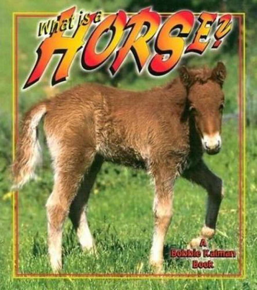 what-is-a-horse-by-bobbie-kalman-paperback-9780865059610-buy