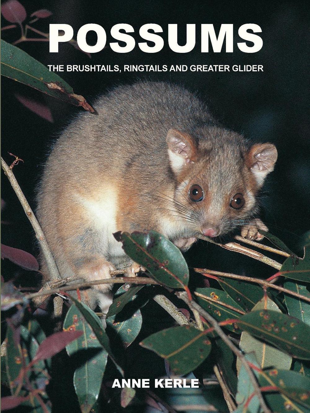 Possums of Australia, 9780868404196