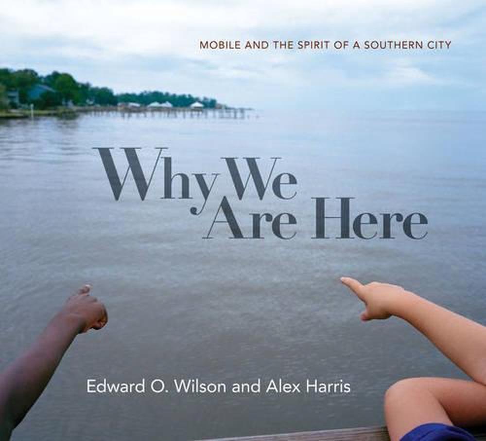 Why We Are Here by Alex Harris - ISBN: 9780871404701