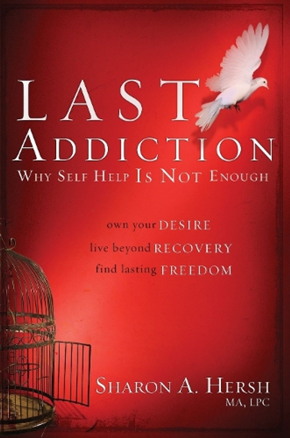 The Last Addiction by Sharon A. Hersh - ISBN: 9780877882039