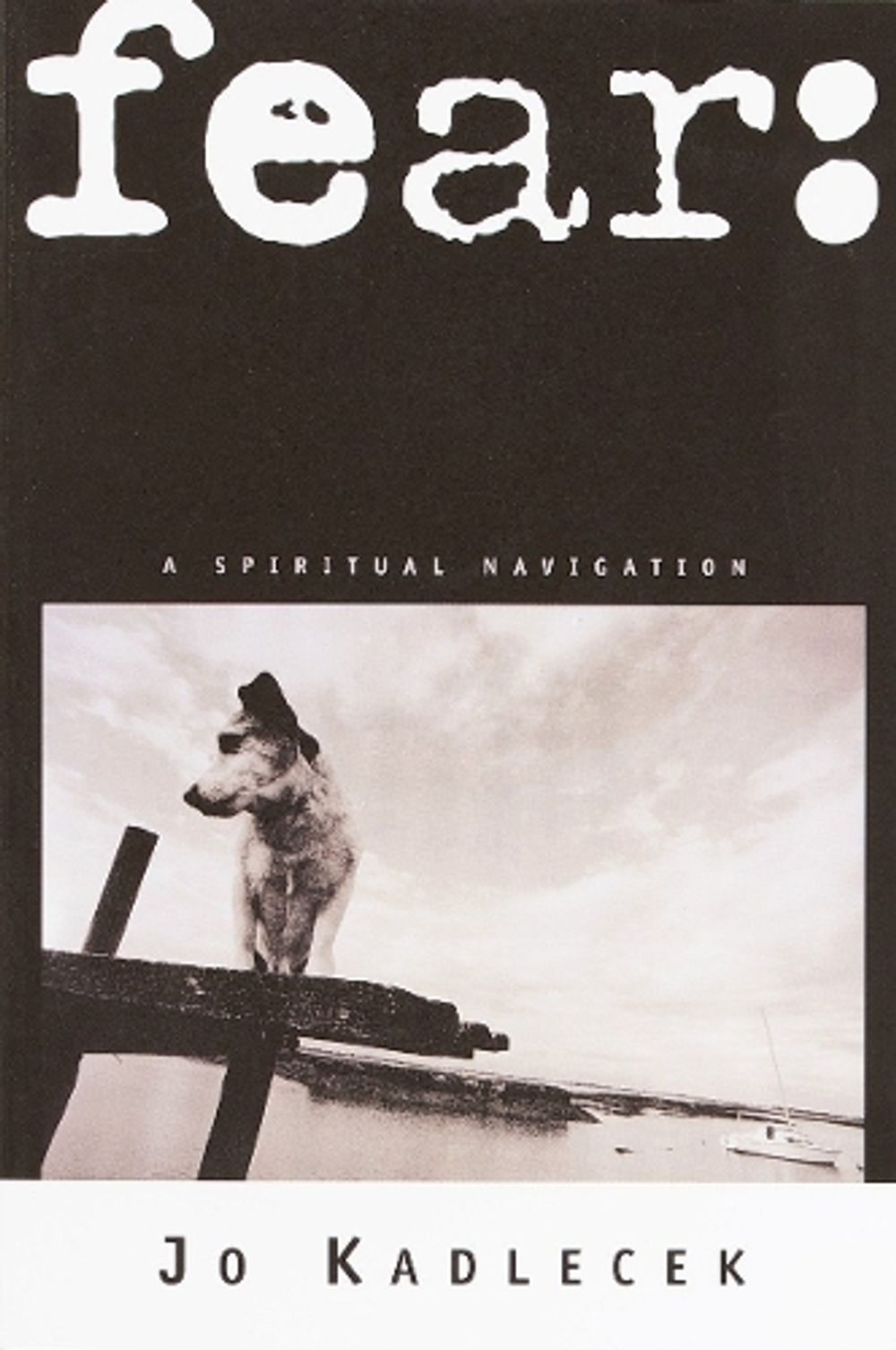 fear by Jo Kadlecek - ISBN: 9780877882688