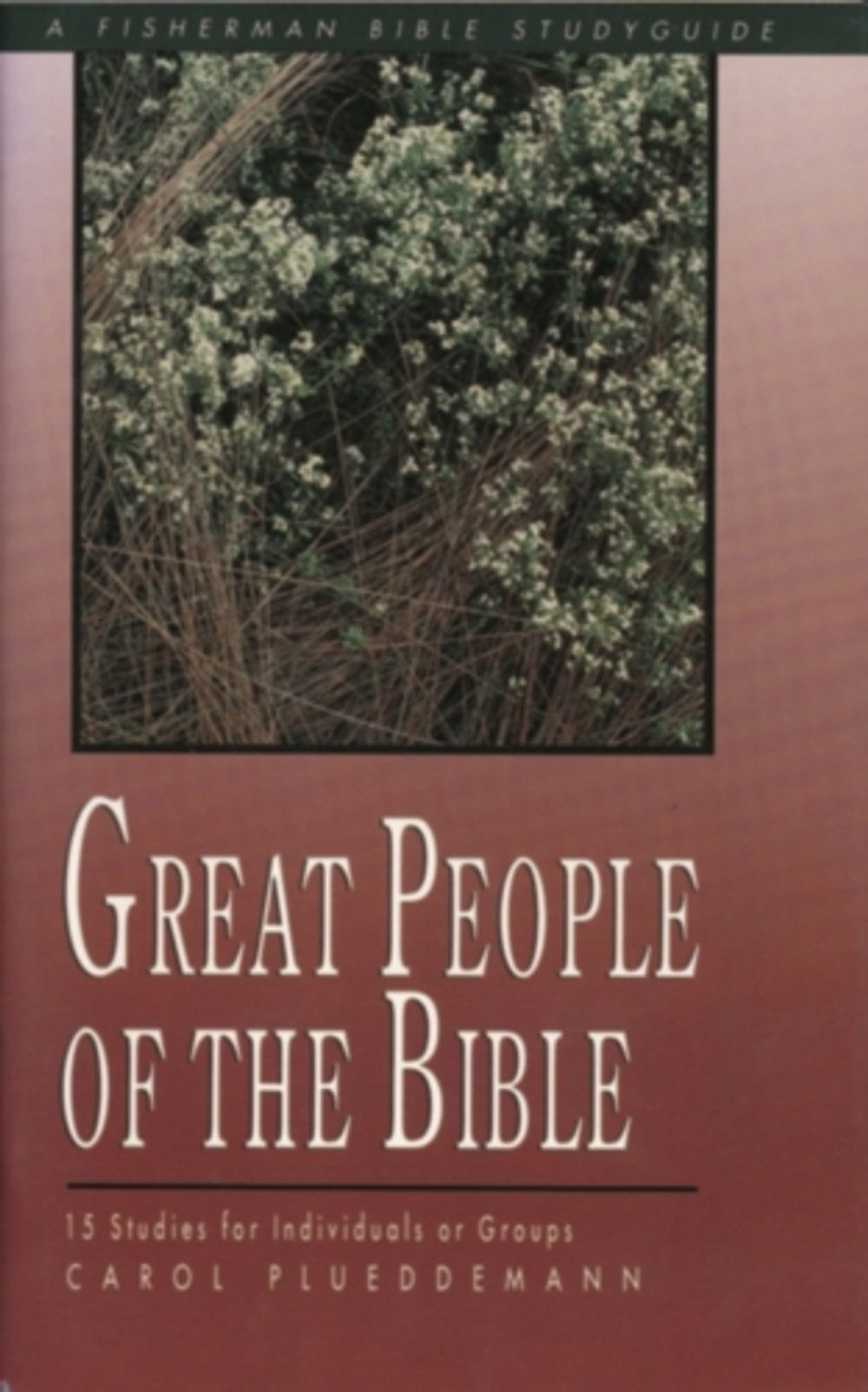 Great People of the Bible by Carol Plueddemann - ISBN: 9780877883333