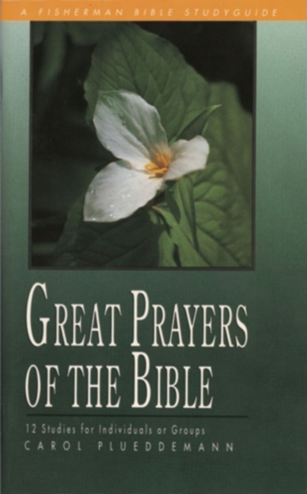 Great Prayers of Bible by Carol Plueddemann - ISBN: 9780877883340