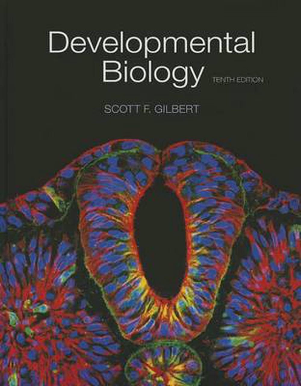 literature review developmental biology