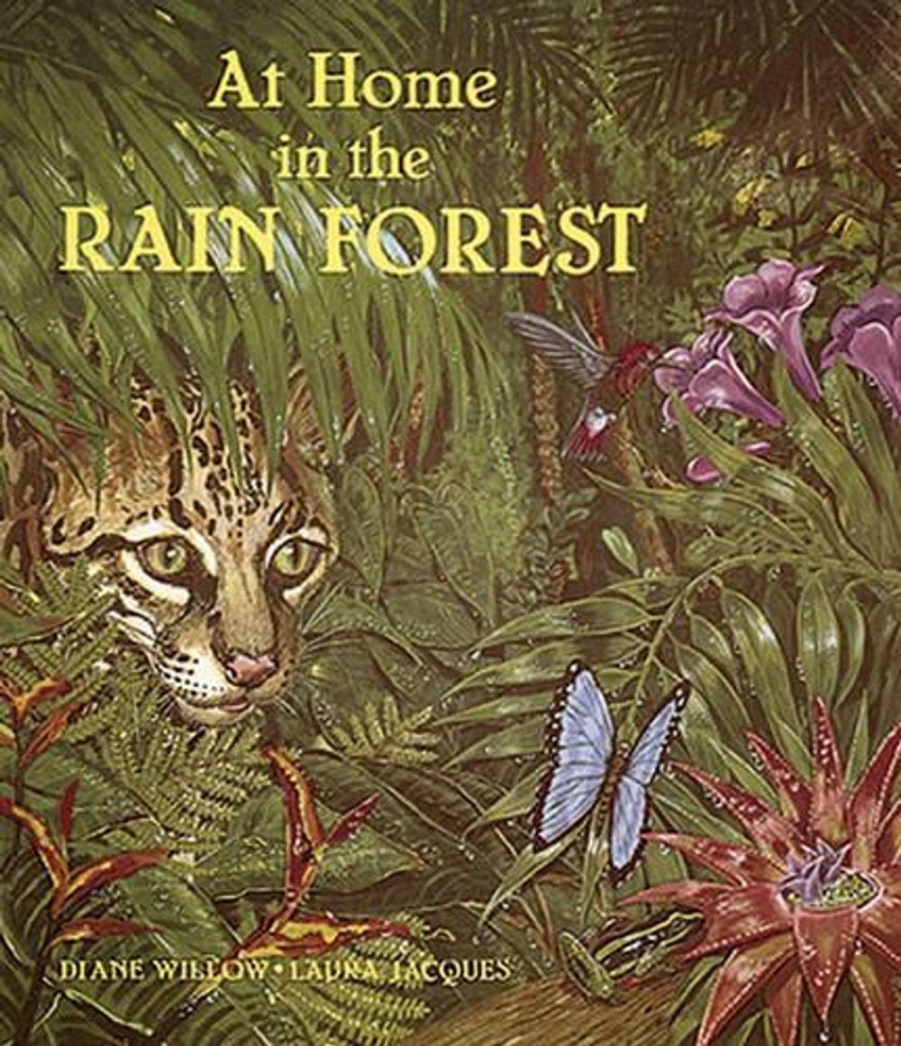 At Home in the Rain Forest by Diane Willow - ISBN: 9780881064841