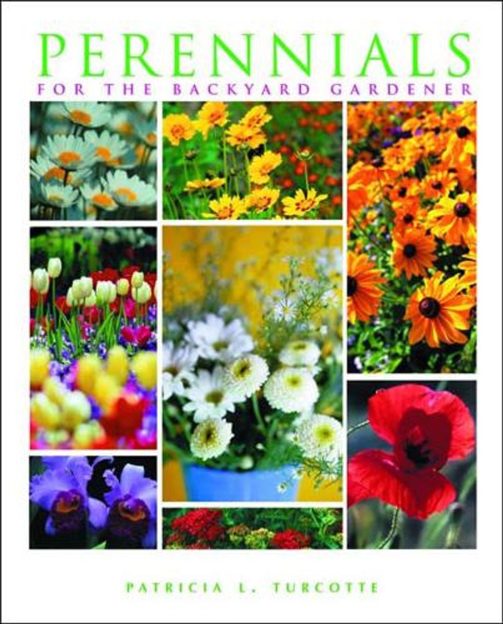 Perennials for the Backyard Gardener, 1st Edition by Patricia Turcotte - ISBN: 9780881502817