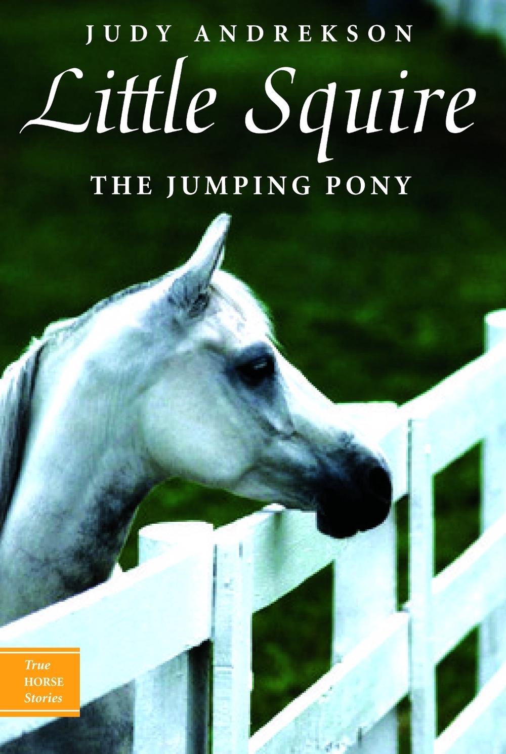 Little Squire by Judy Andrekson - ISBN: 9780887767708