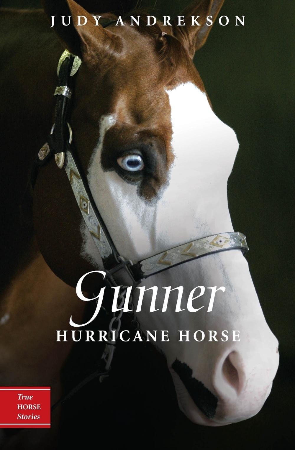 Gunner by Judy Andrekson - ISBN: 9780887769054