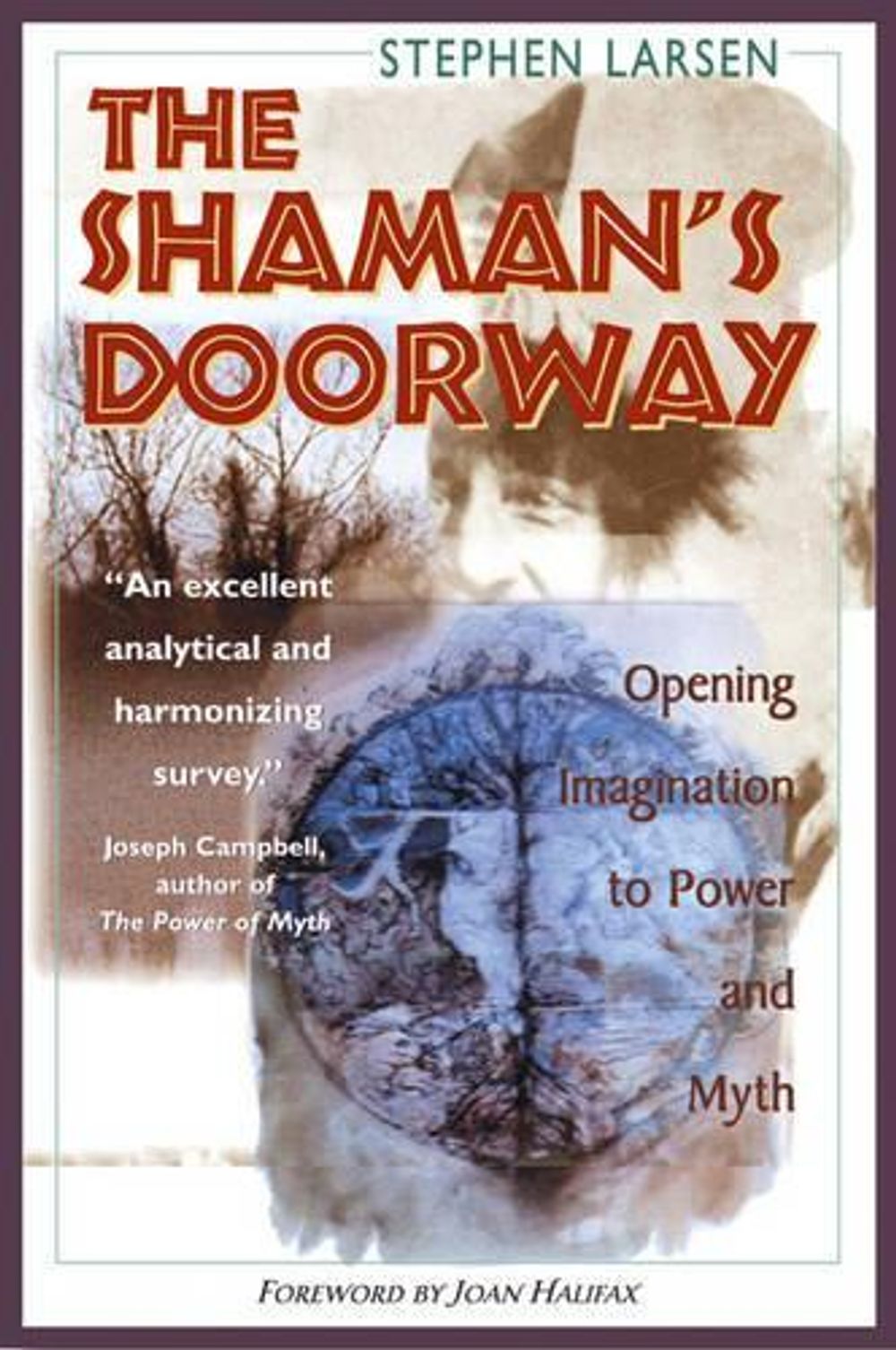 The Shaman's Doorway by Stephen Larsen - ISBN: 9780892816729