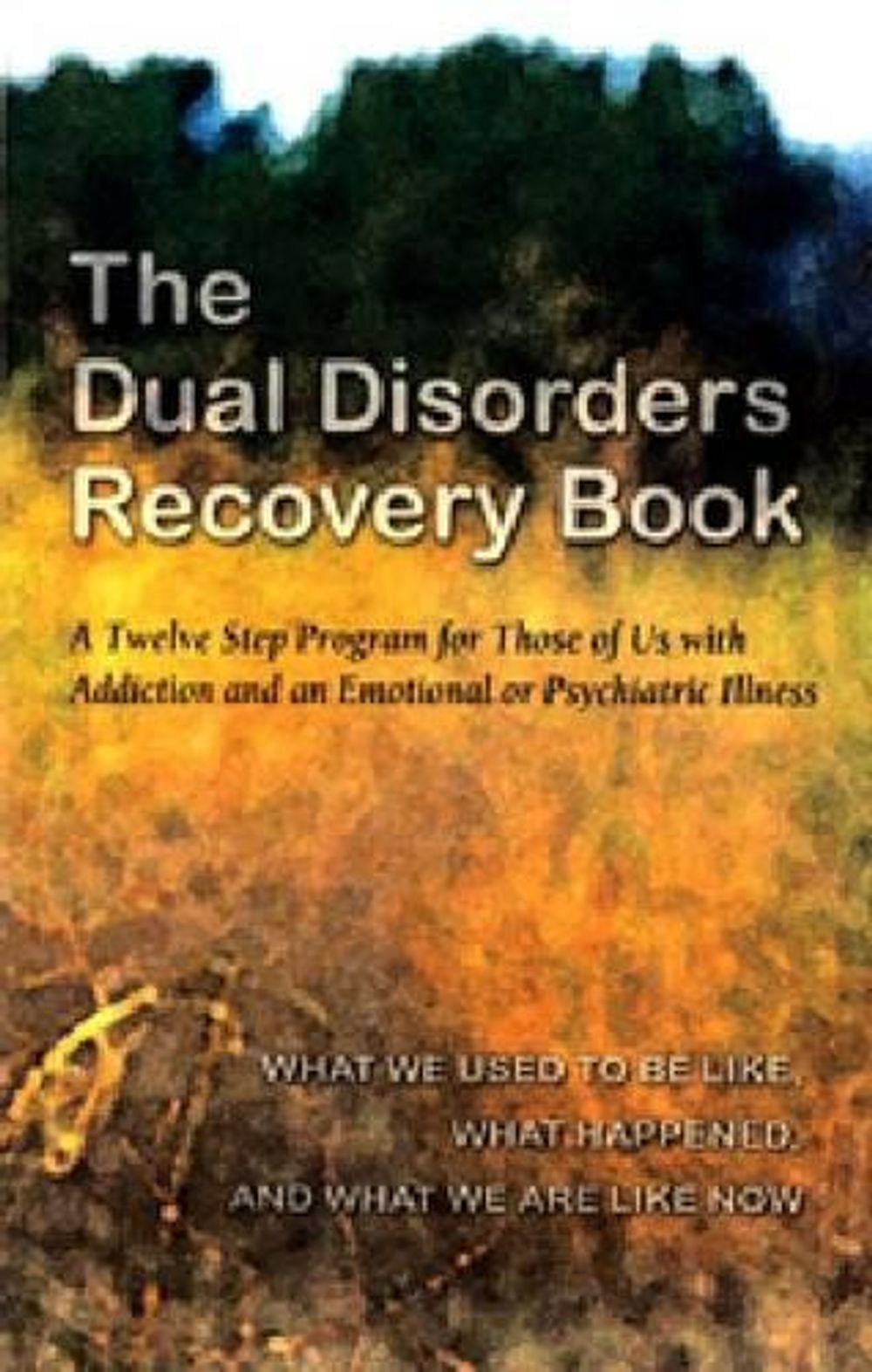 The Dual Disorders Recovery Book by ANONYMOUS - ISBN: 9780894868498