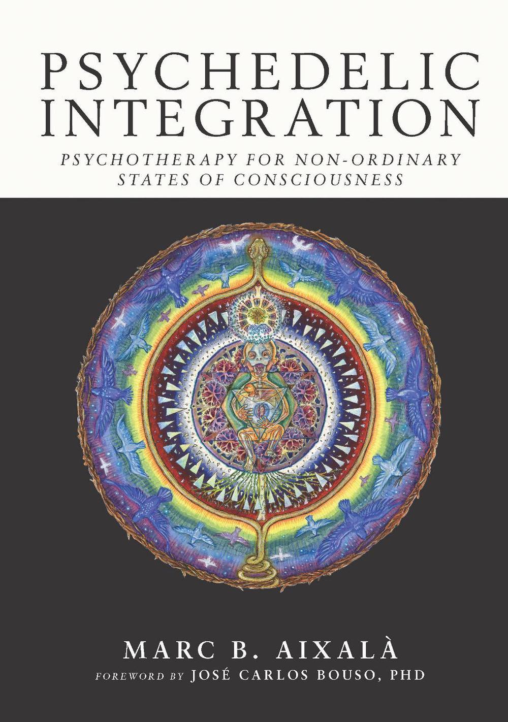Psychedelic Integration: Psychotherapy for Non-Ordinary States of Consciousness, 9780907791393