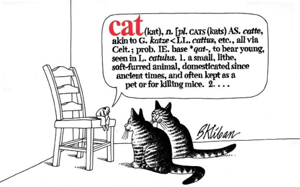 Cat by B. Kliban - ISBN: 9780911104547