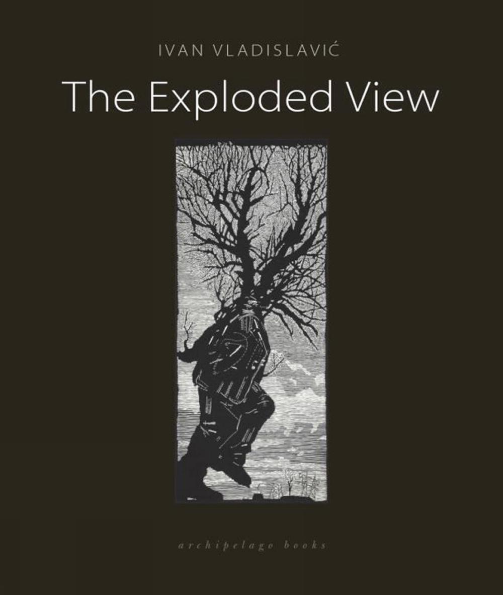 The Exploded View by Ivan Vladislavic - ISBN: 9780914671688