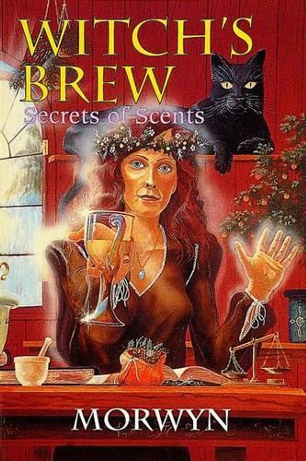 Witch's Brew by Morwyn - ISBN: 9780924608193