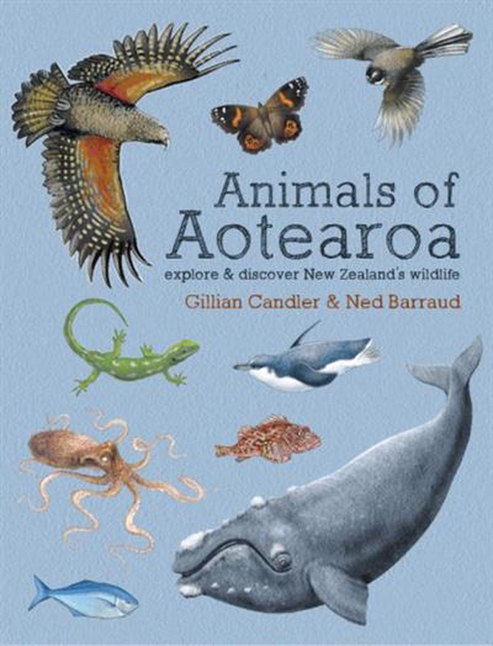 Animals of Aotearoa: Explore & discover New Zealand's wildlife, 9780947503895