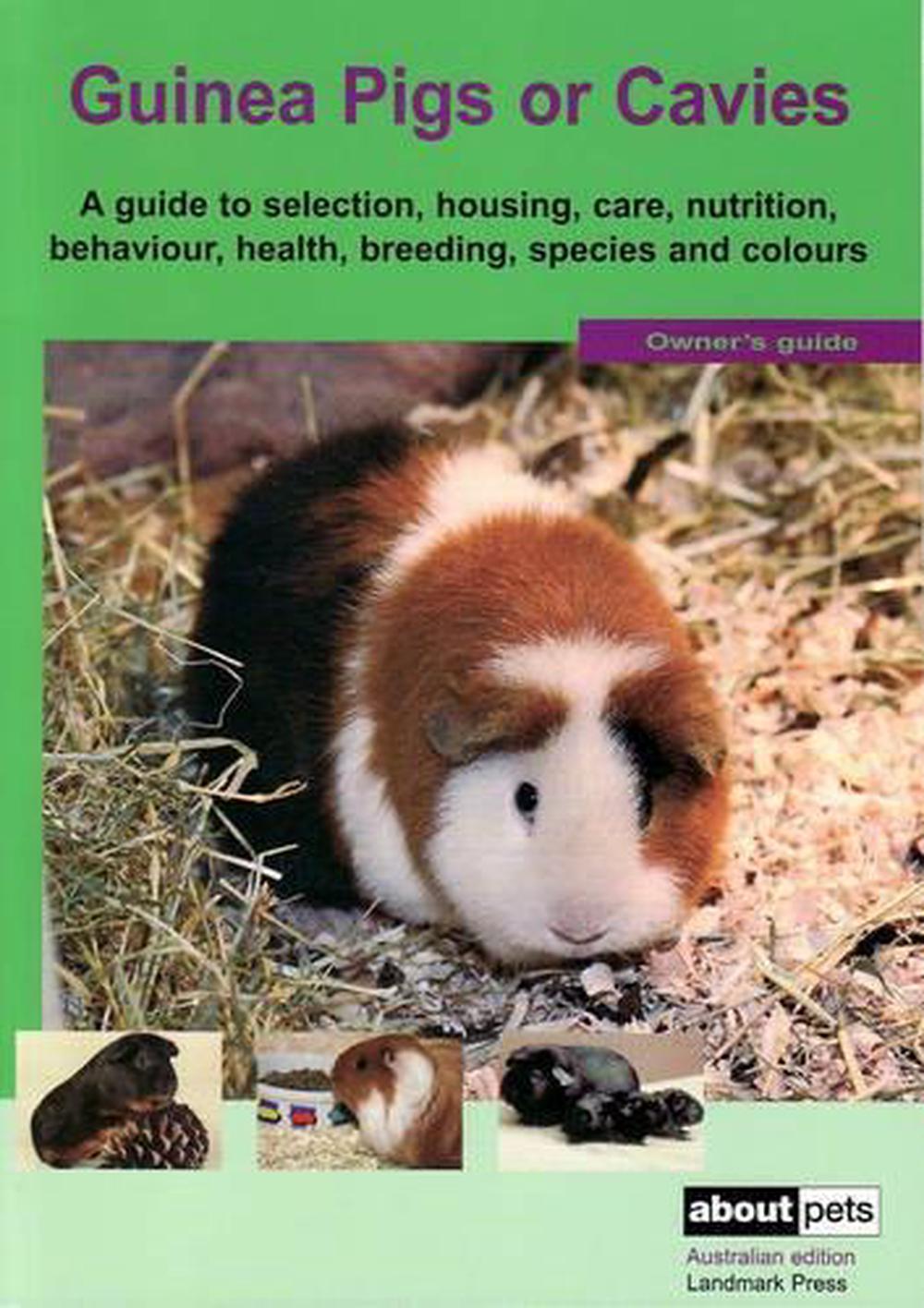 The Guinea Pig, Paperback, 9780949449740 Buy online at The Nile