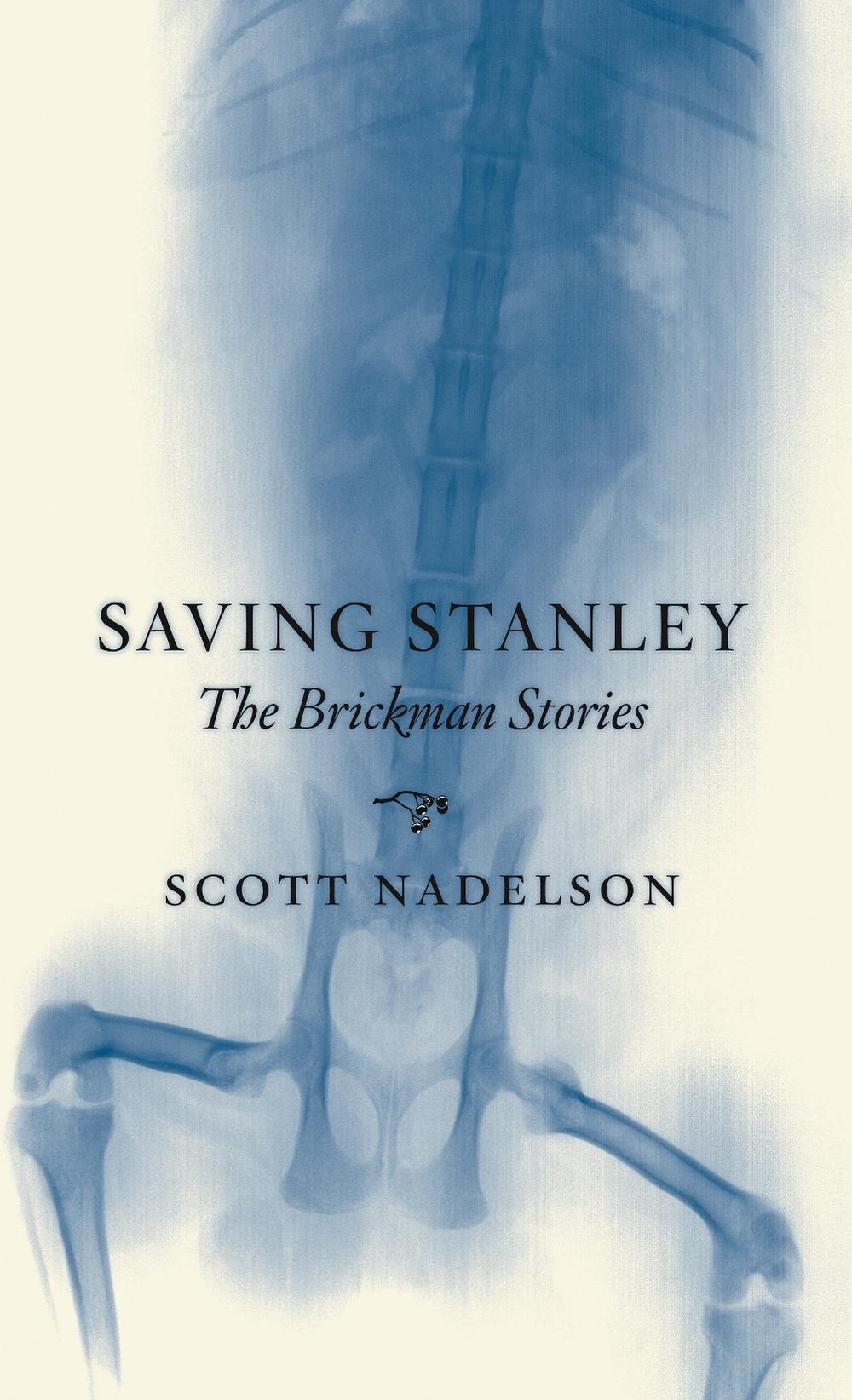 Saving Stanley by Scott Nadelson - ISBN: 9780971691520