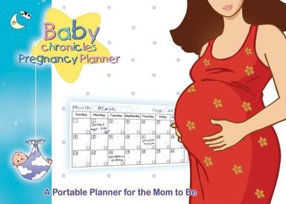 Baby Chronicles Pregnancy Planner by Dania Lebovics - ISBN: 9780973399455