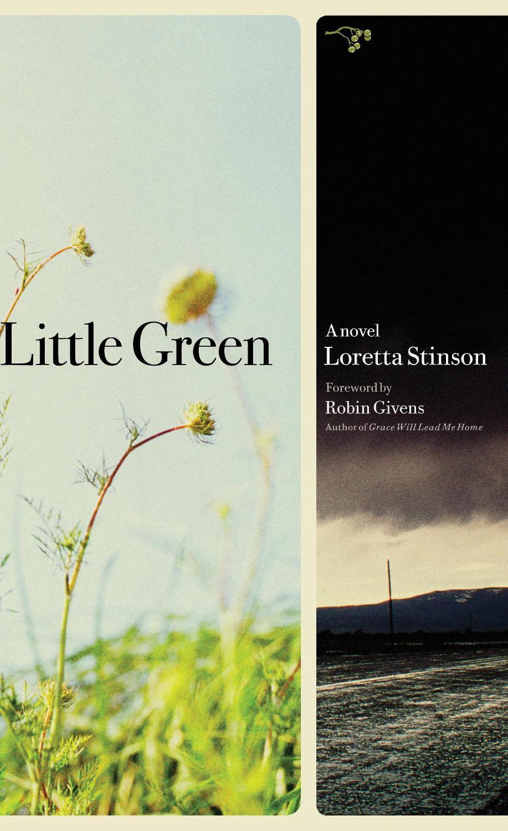 Little Green by Loretta Stinson - ISBN: 9780979018817