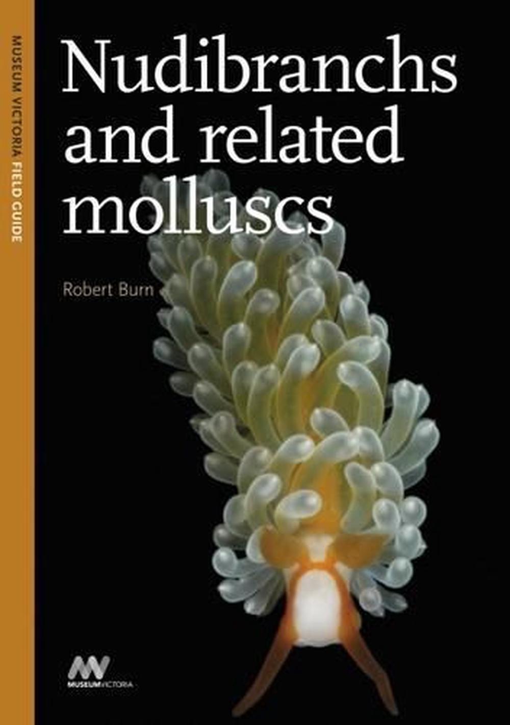 Nudibranchs and Related Molluscs, 9780980381382