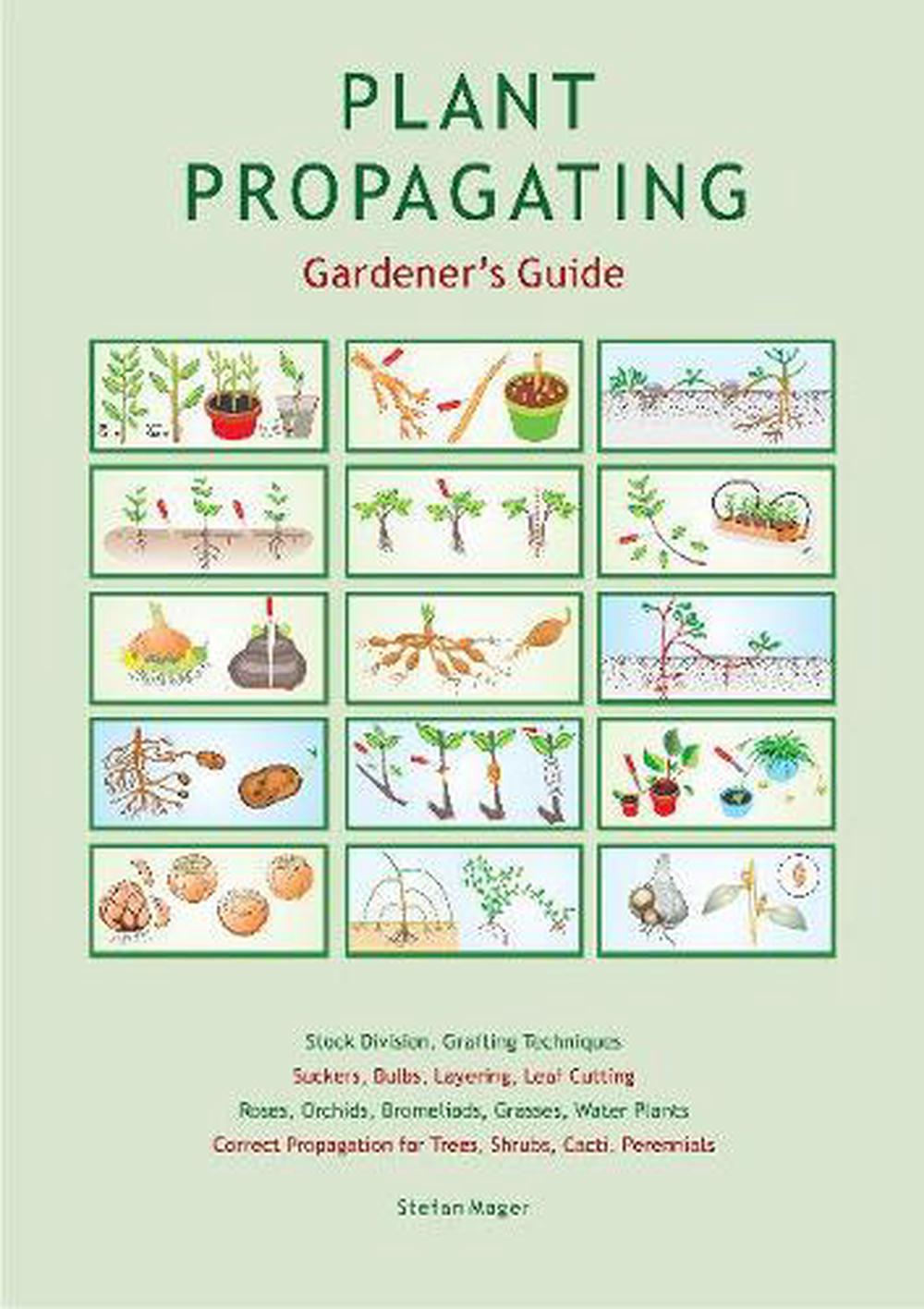 Plant Propagating Gardener's Guide, 9780980843323