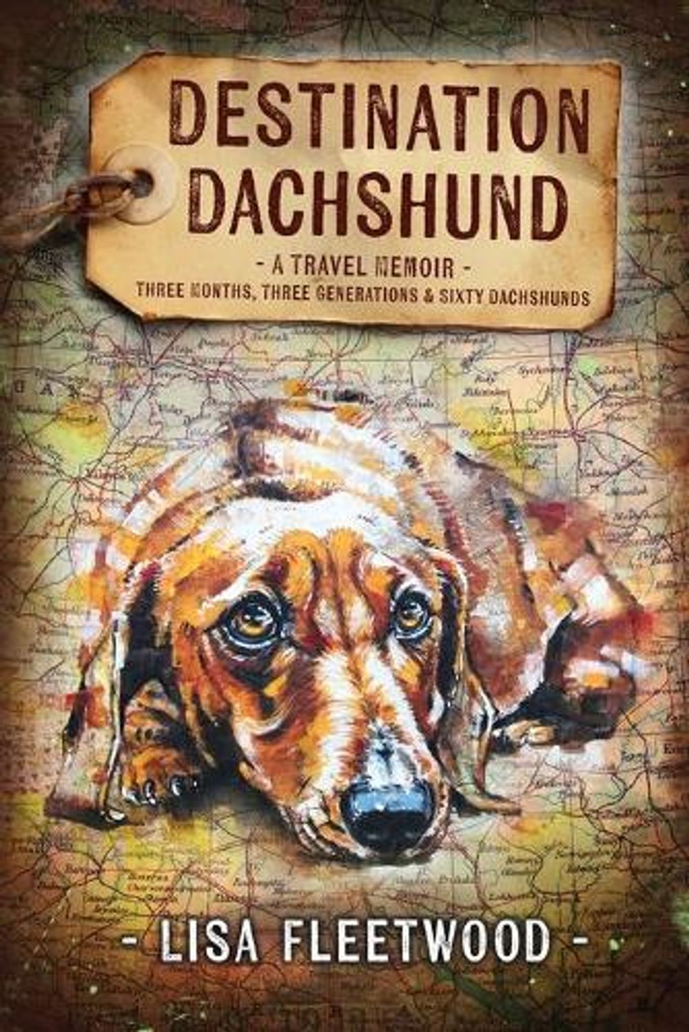 Destination Dachshund by Lisa Fleetwood - ISBN: 9780994591401