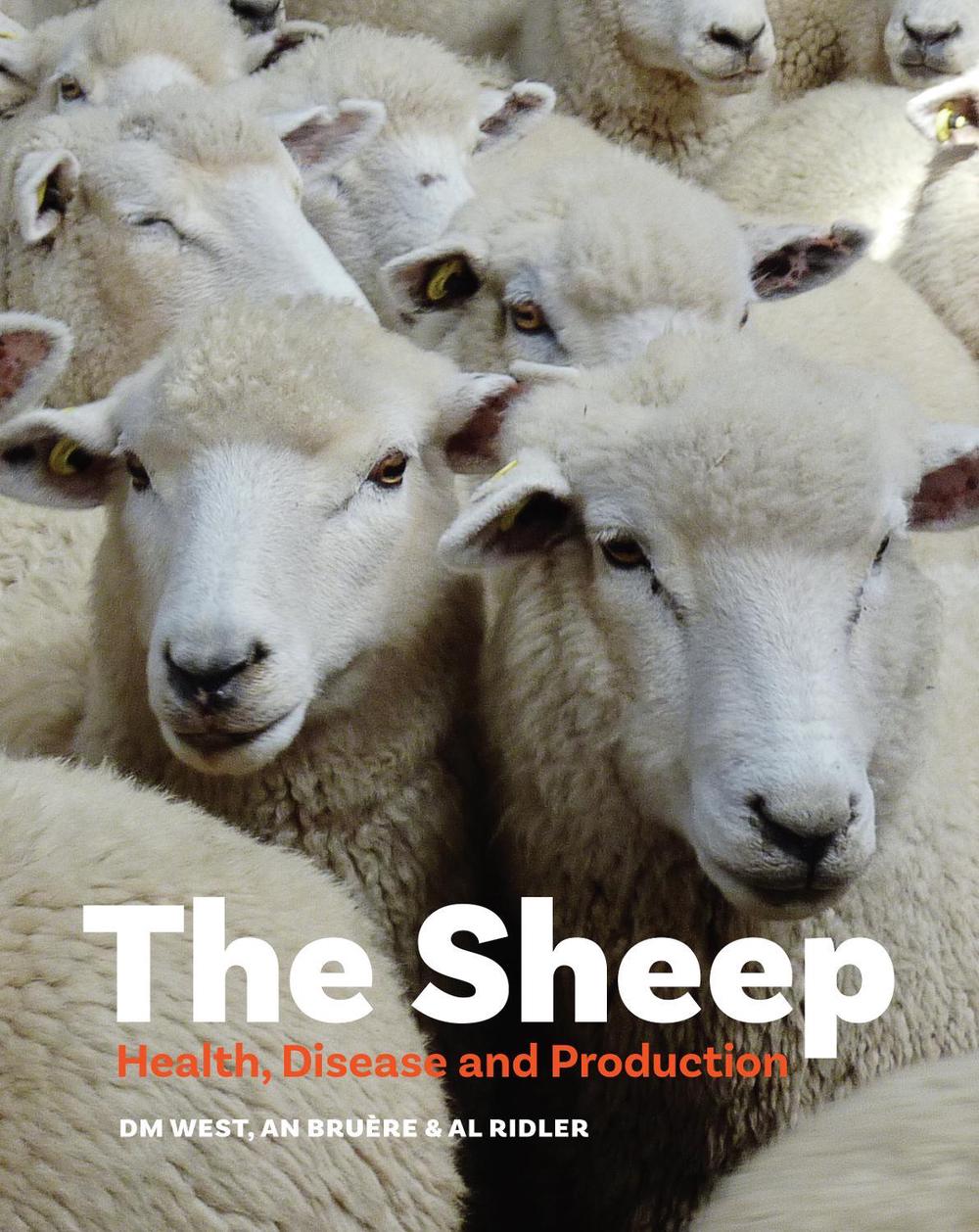 The Sheep, 9780995100114