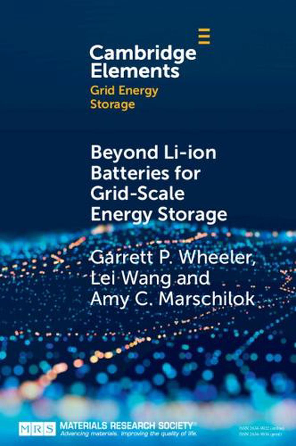 Beyond Liion Batteries for GridScale Energy Storage by Garrett P