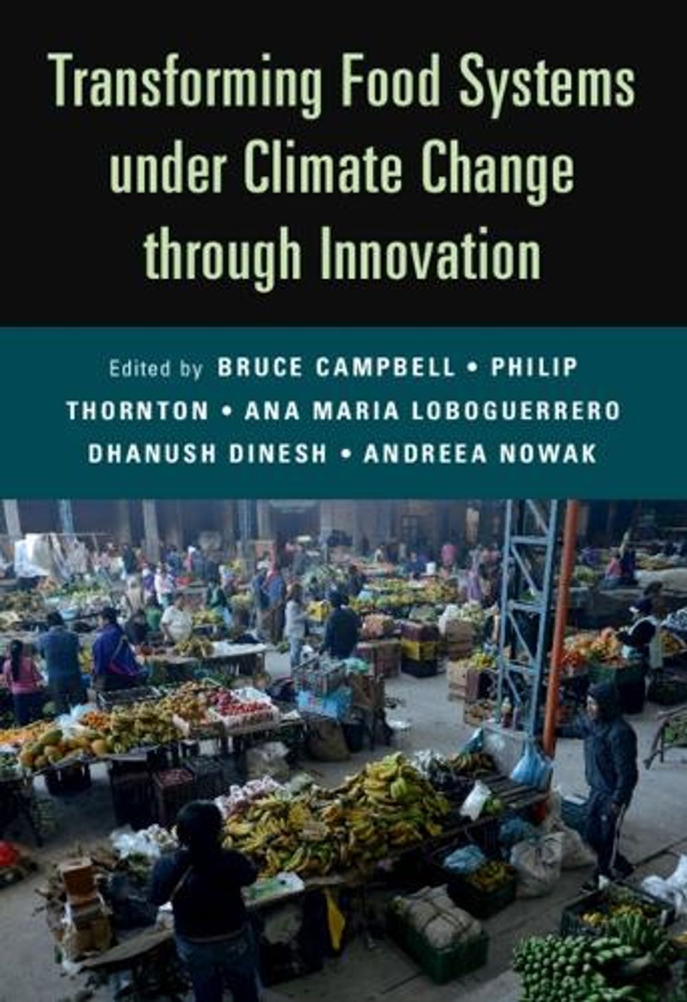 Transforming Food Systems Under Climate Change through Innovation by ...