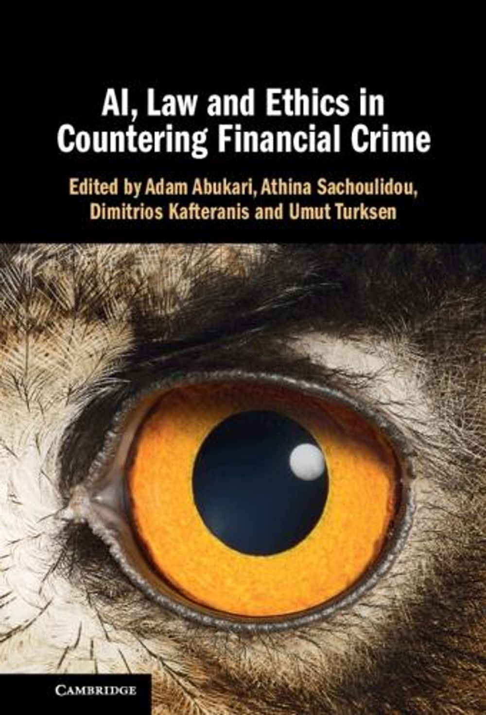 AI, Law and Ethics in Countering Financial Crime by Adam Abukari - ISBN: 9781009623636