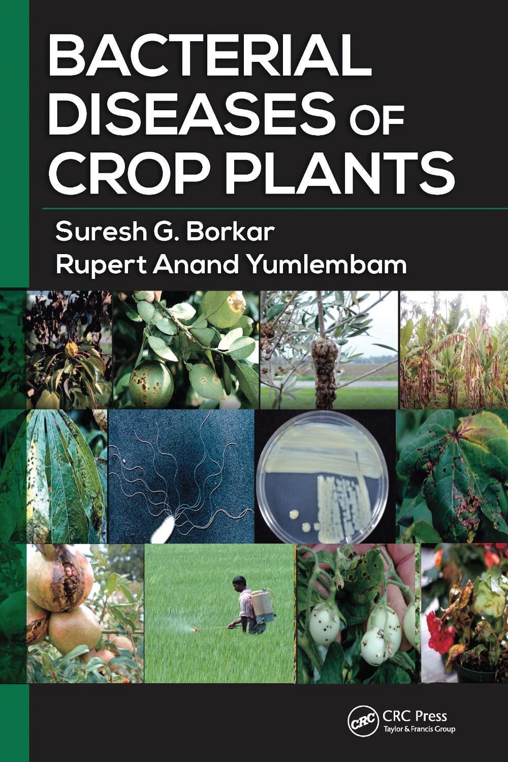 Bacterial Diseases of Crop Plants by Suresh G. Borkar - ISBN: 9781032097541