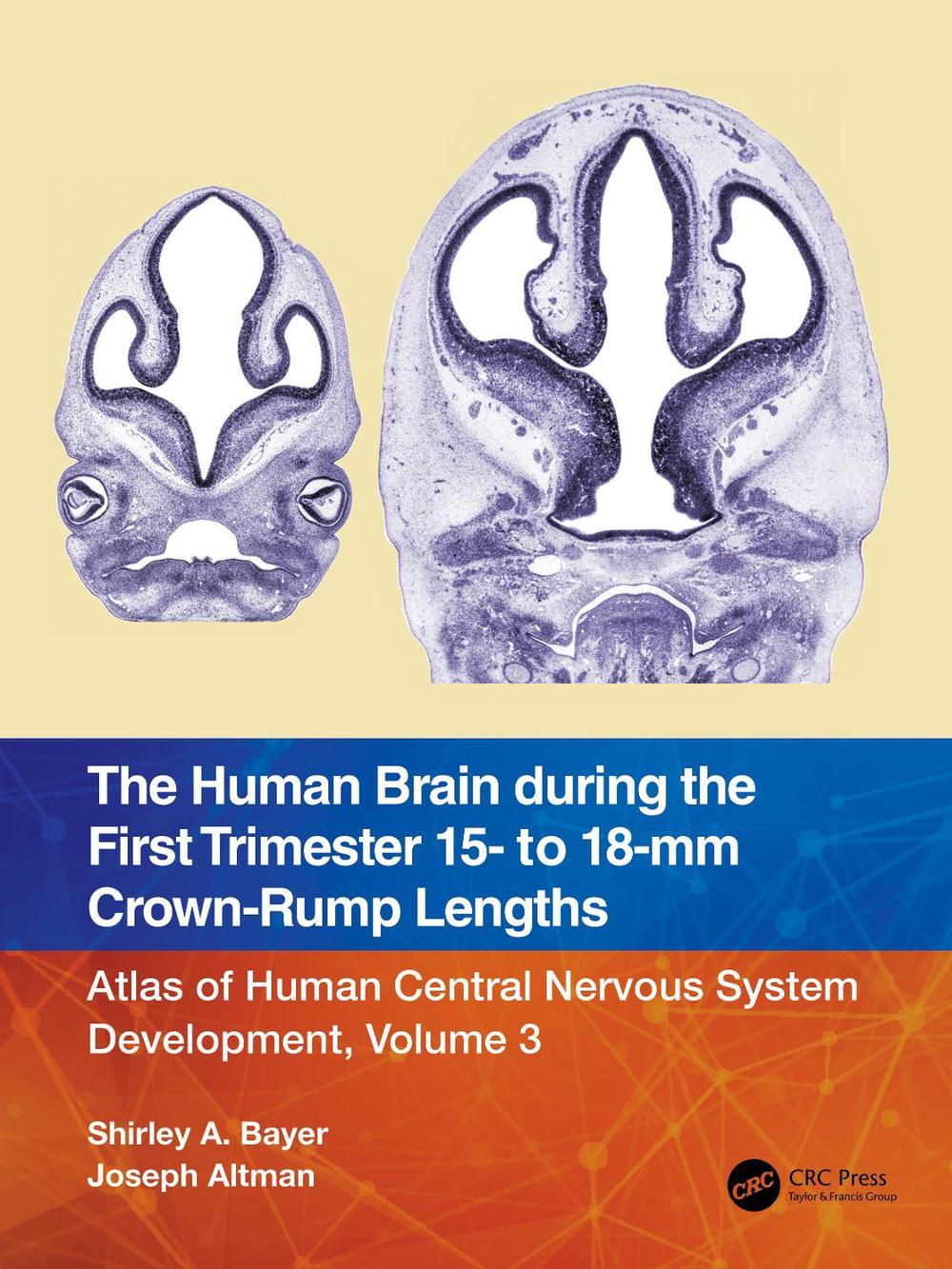 The Human Brain during the First Trimester 15- to 18-mm Crown-Rump Lengths by Shirley A. Bayer - ISBN: 9781032219288
