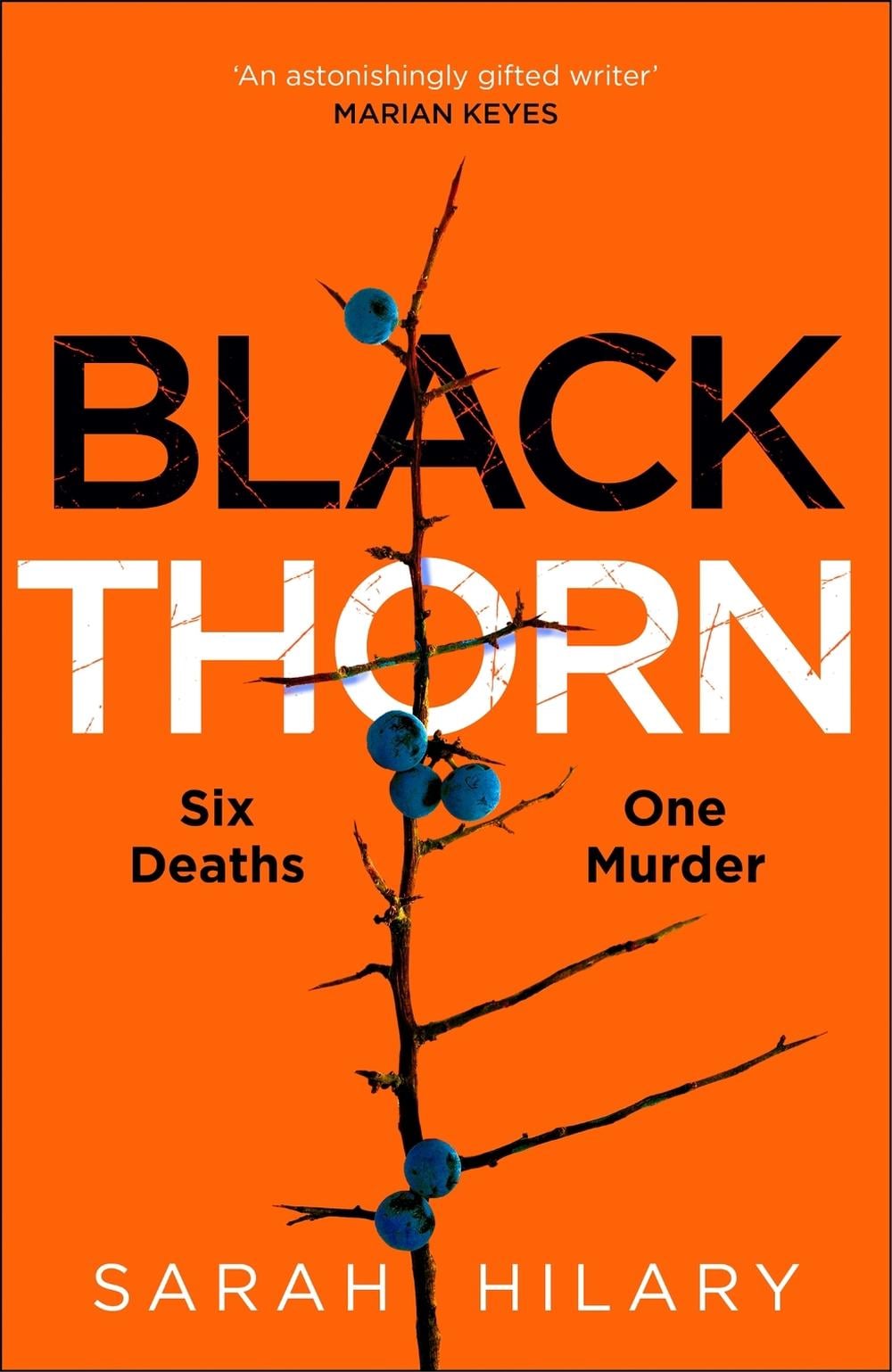 Black Thorn by Sarah Hilary - ISBN: 9781035003884