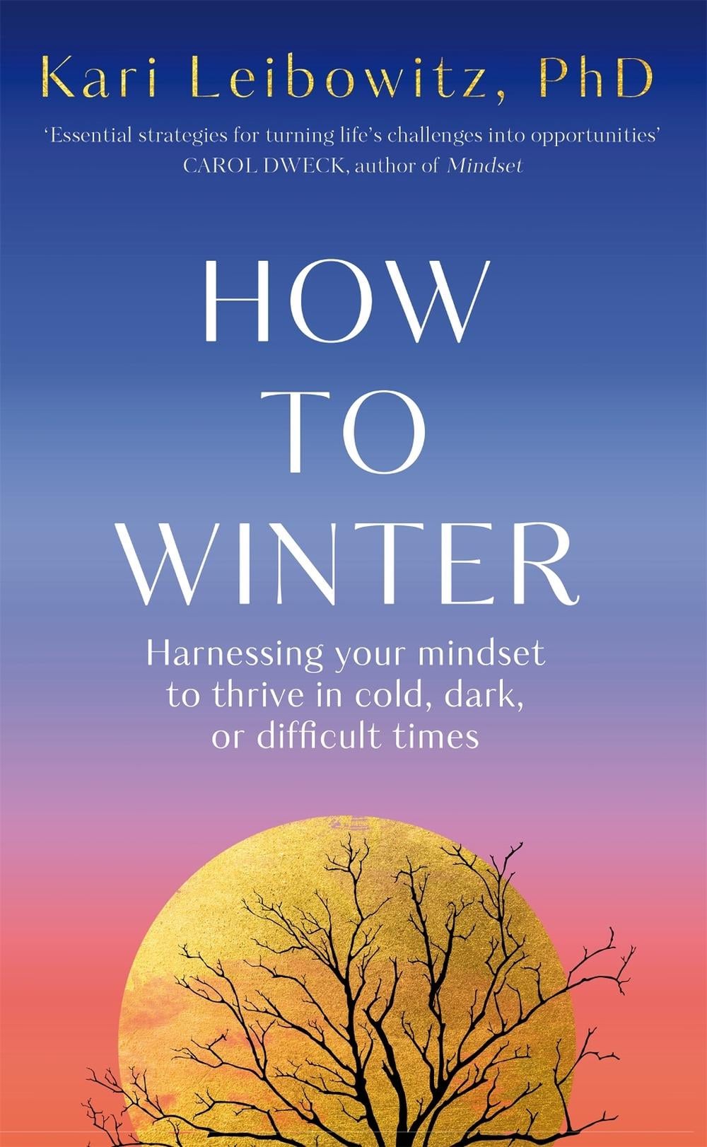 How to Winter by Kari Leibowitz - ISBN: 9781035006960