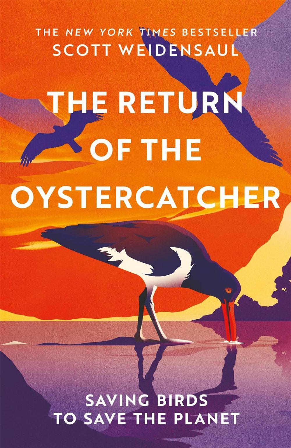 The Return of the Oystercatcher by Scott Weidensaul - ISBN: 9781035016518