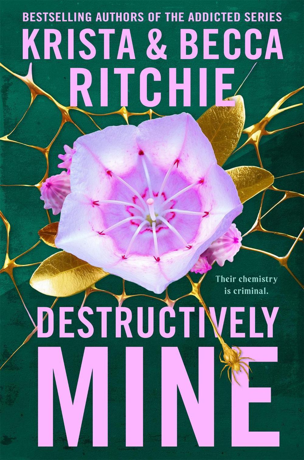 Destructively Mine, 9781035025114