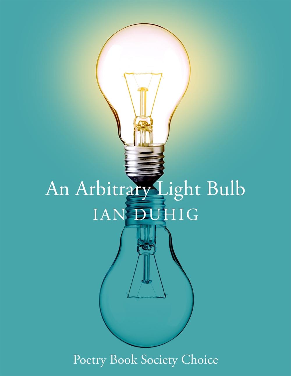 An Arbitrary Light Bulb by Ian Duhig - ISBN: 9781035033201