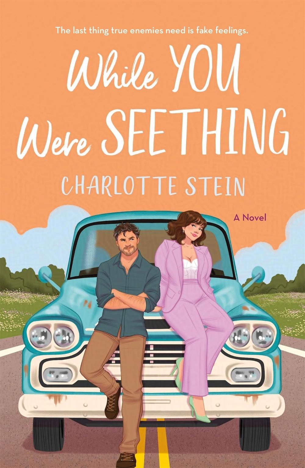 While You Were Seething by Charlotte Stein - ISBN: 9781035038190
